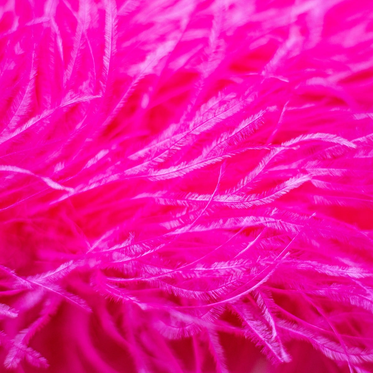 Shocking Hot Pink 3 Ply Ostrich Feather Boa