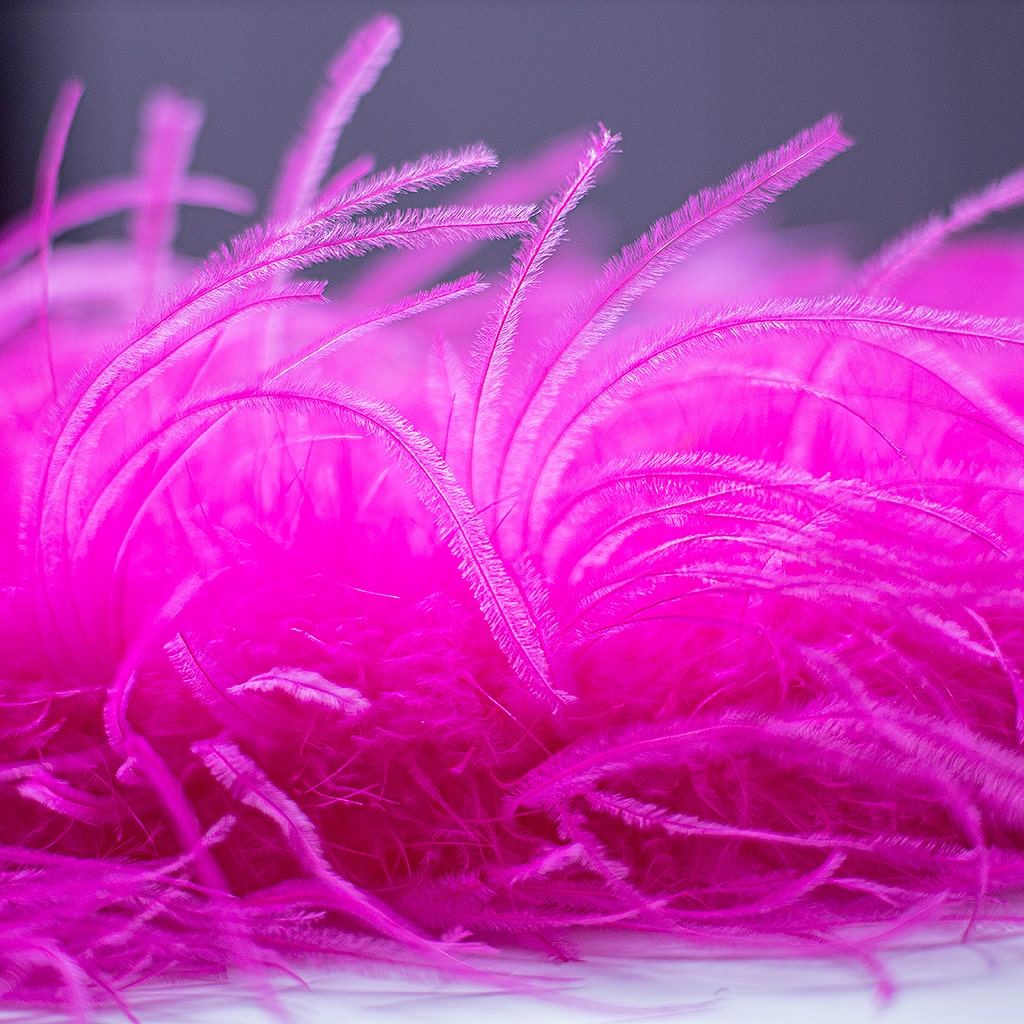 Good 30 colors 8 ply dust pink blush pink ostrich feather boa thickness for party supply decor supply