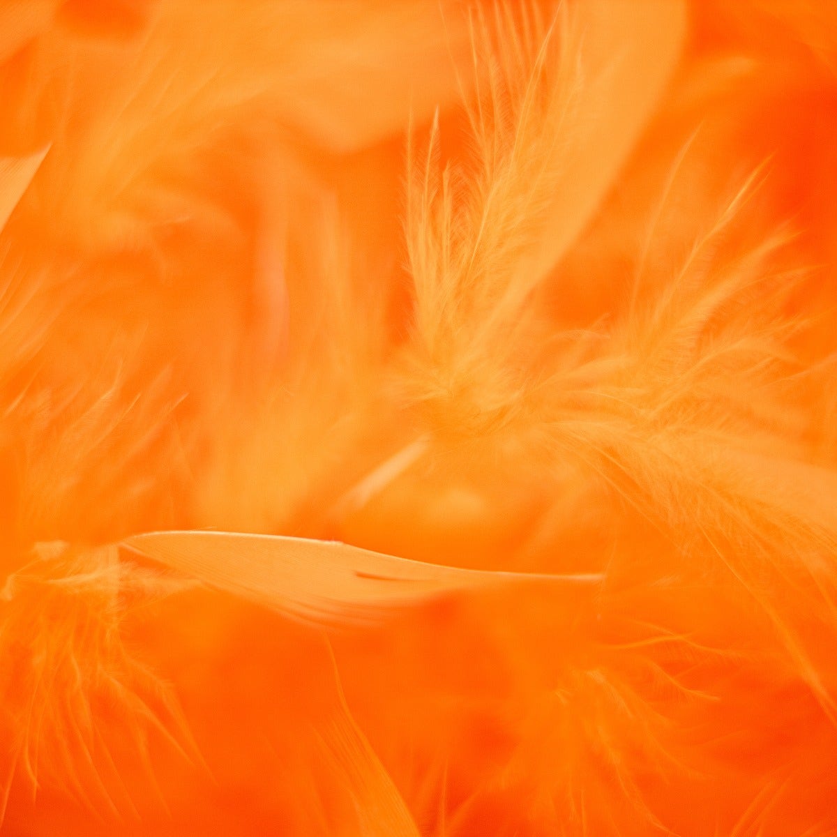 Chandelle Feather Boa - Medium Weight - Orange