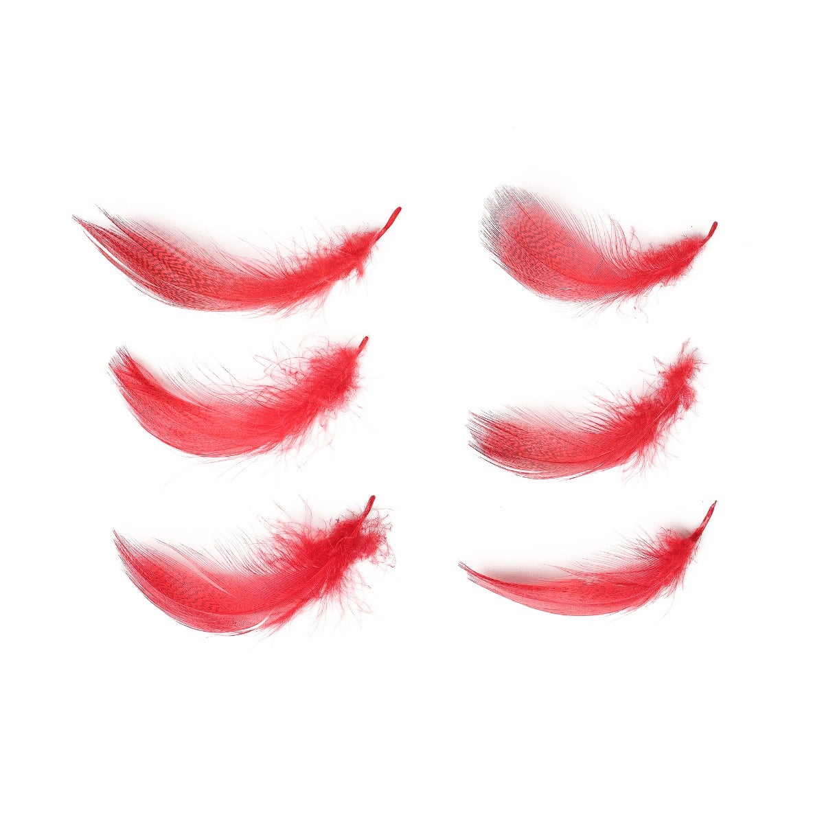 Duck Plumage Mallard Feathers - Red