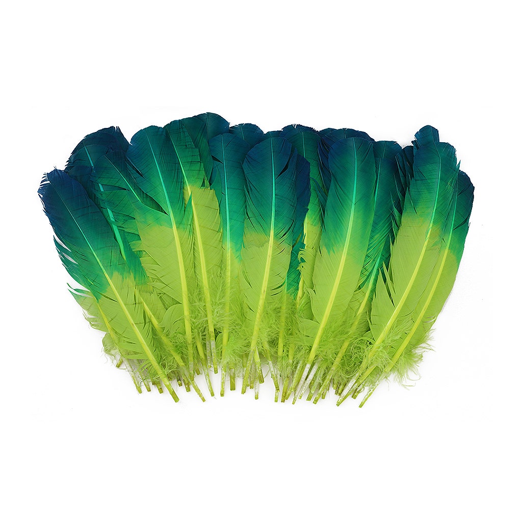 Bulk Two Tone Ombre Tipped Turkey Round Feathers Left Wing - 10-12” - 1/4 lb - Dark Turquoise - Lime