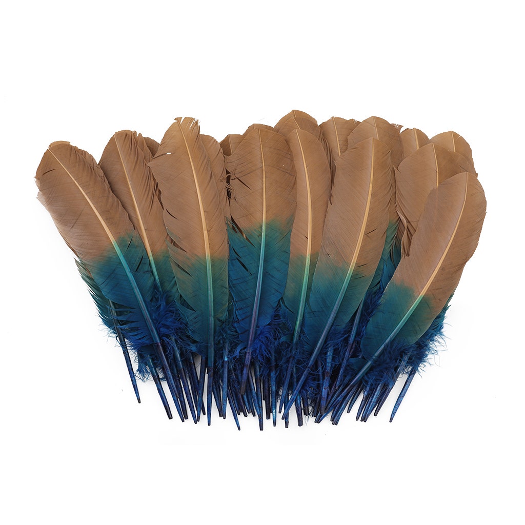 Bulk Two Tone Ombre Tipped Turkey Round Feathers Left Wing - 10-12” - 1/4 lb - Dark Turqouise/Camel