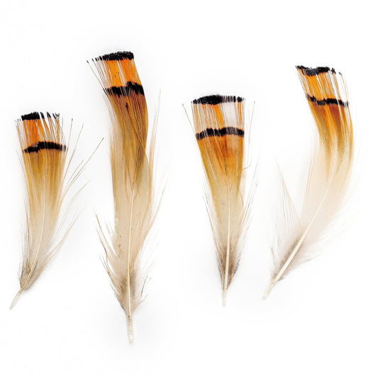 Pheasant Golden Crest Plumage 1-3.5" Natural