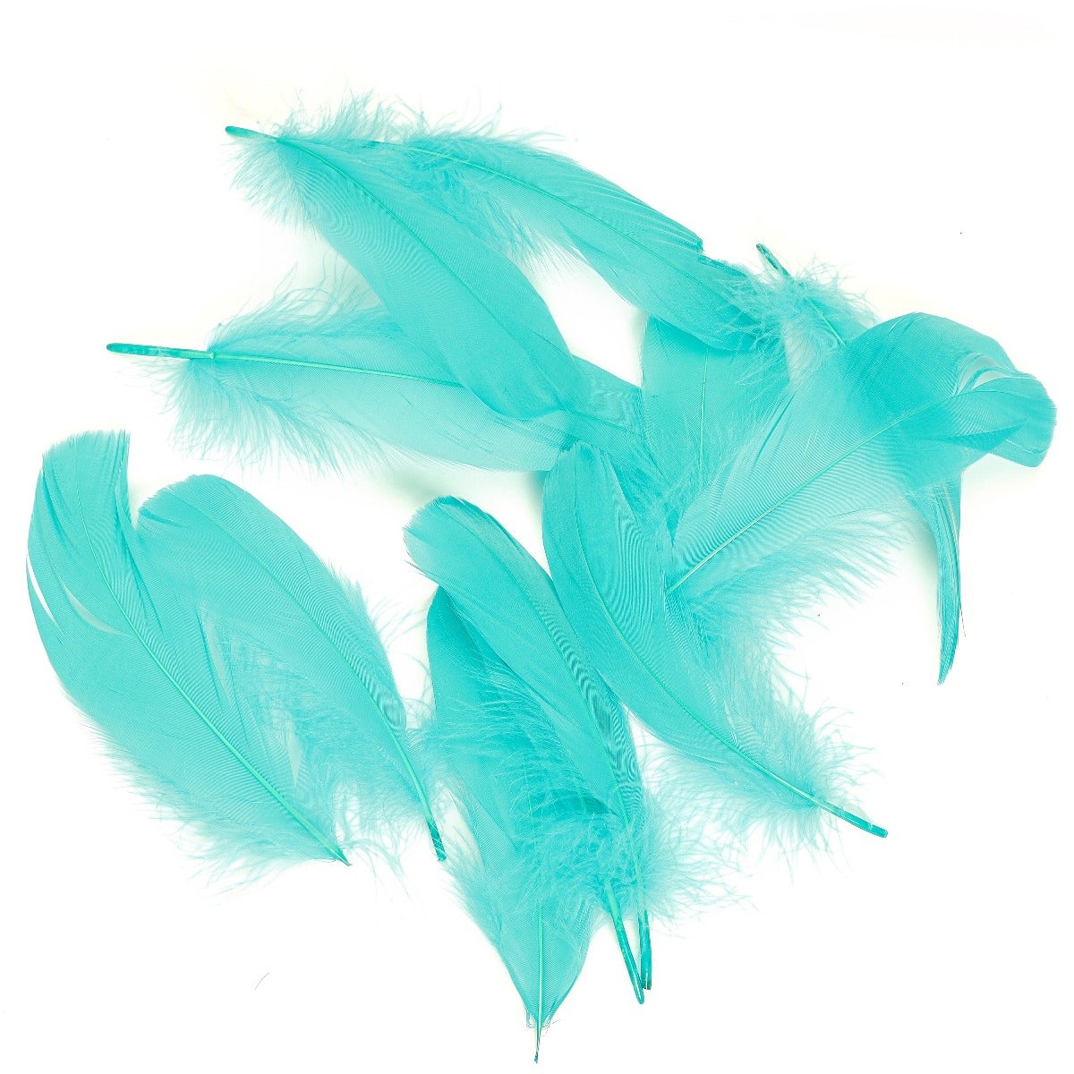 Bulk Emerald Green Goose Pallet Feathers  Buy 6 to 8 Inches Goose Feathers  – Zucker Feather Products, Inc.