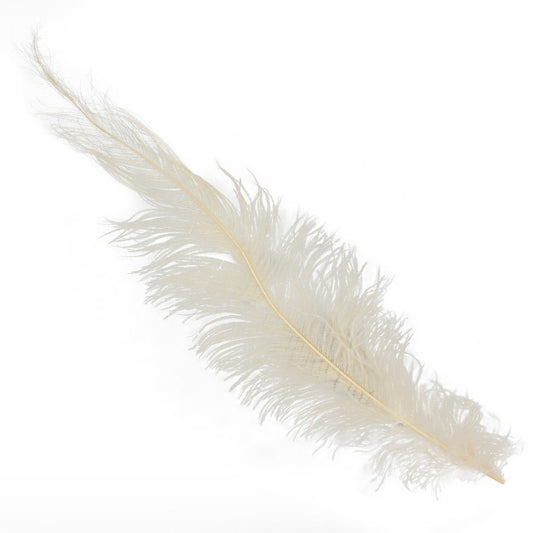 Ostrich Feathers-Spads Damaged - Beige