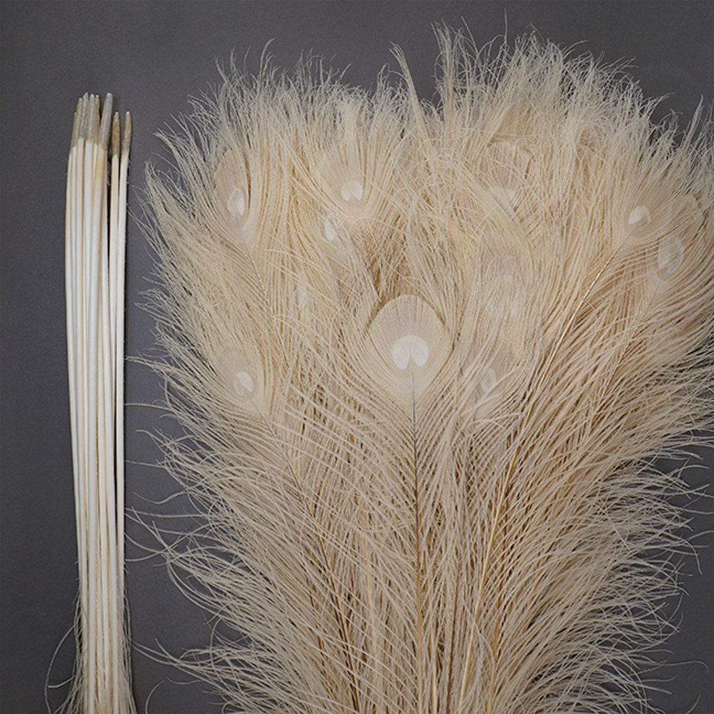 Peacock Tail Eyes Bleached Dyed - Ivory - 30 - 40"