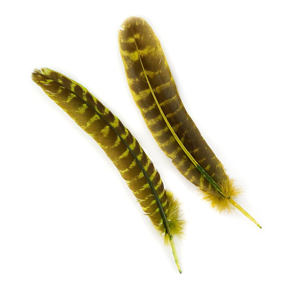 Barred Turkey Quills - Left Wing - 8-12 Inches - 12 pc - Fluorescent Chartreuse