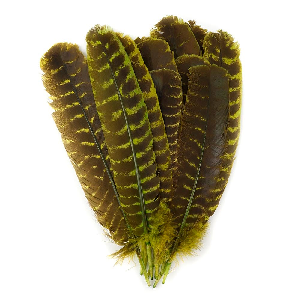 Barred Turkey Quills - Left Wing - 8-12 Inches - 12 pc - Fluorescent Chartreuse