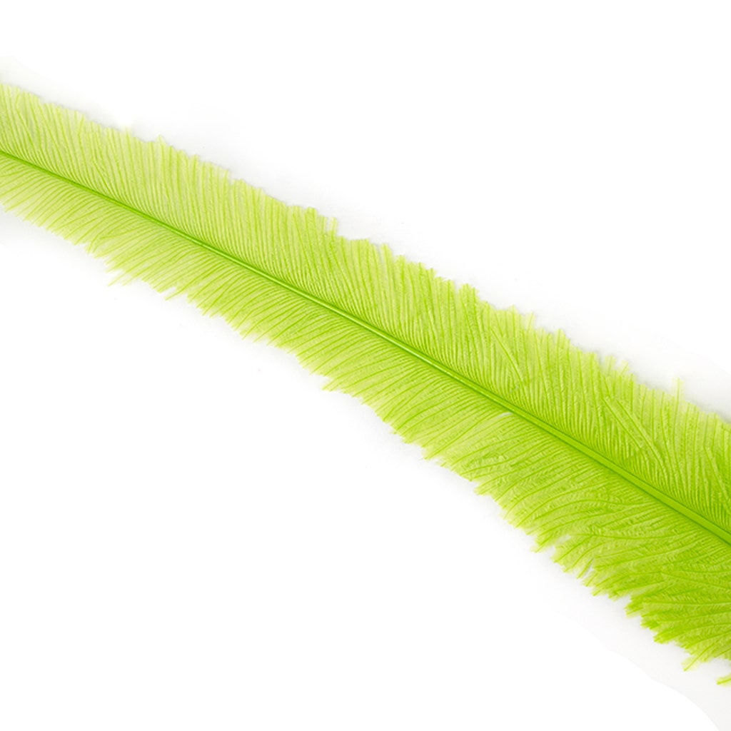 Ostrich Nandu Selected Feathers 12 PCS - Lime