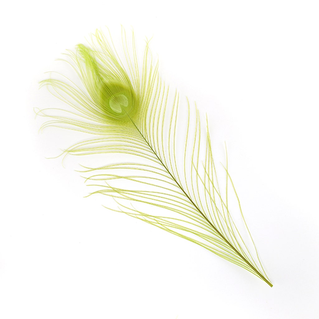 Peacock Tail Eyes Bleached and Dyed - 8-15” - 100 pc - Lime