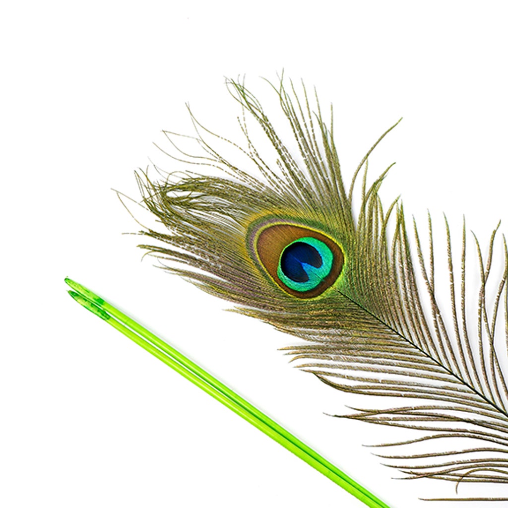 Peacock Tail Eyes Stem Dyed - 25-40 Inch - 100 PCS - Lime