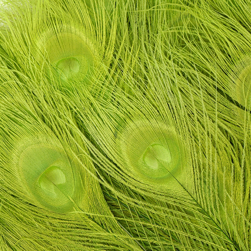 Peacock Tail Eyes Bleached Dyed - Lime