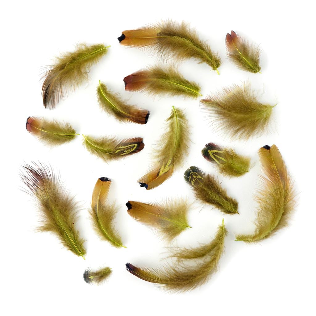 Heart Pheasant Plumage Dyed - Lime