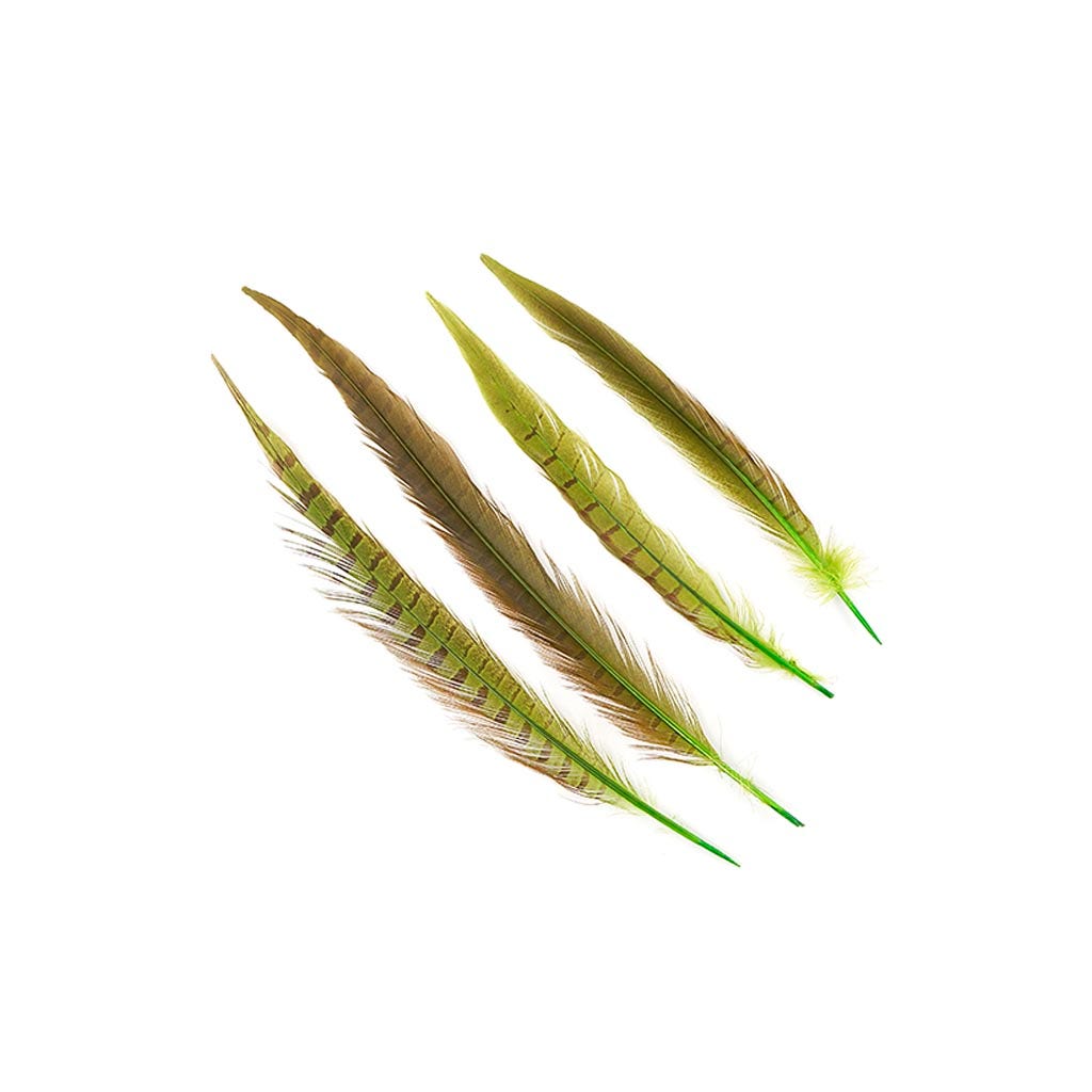 Pheasant Tails Assorted Bleached - Lime