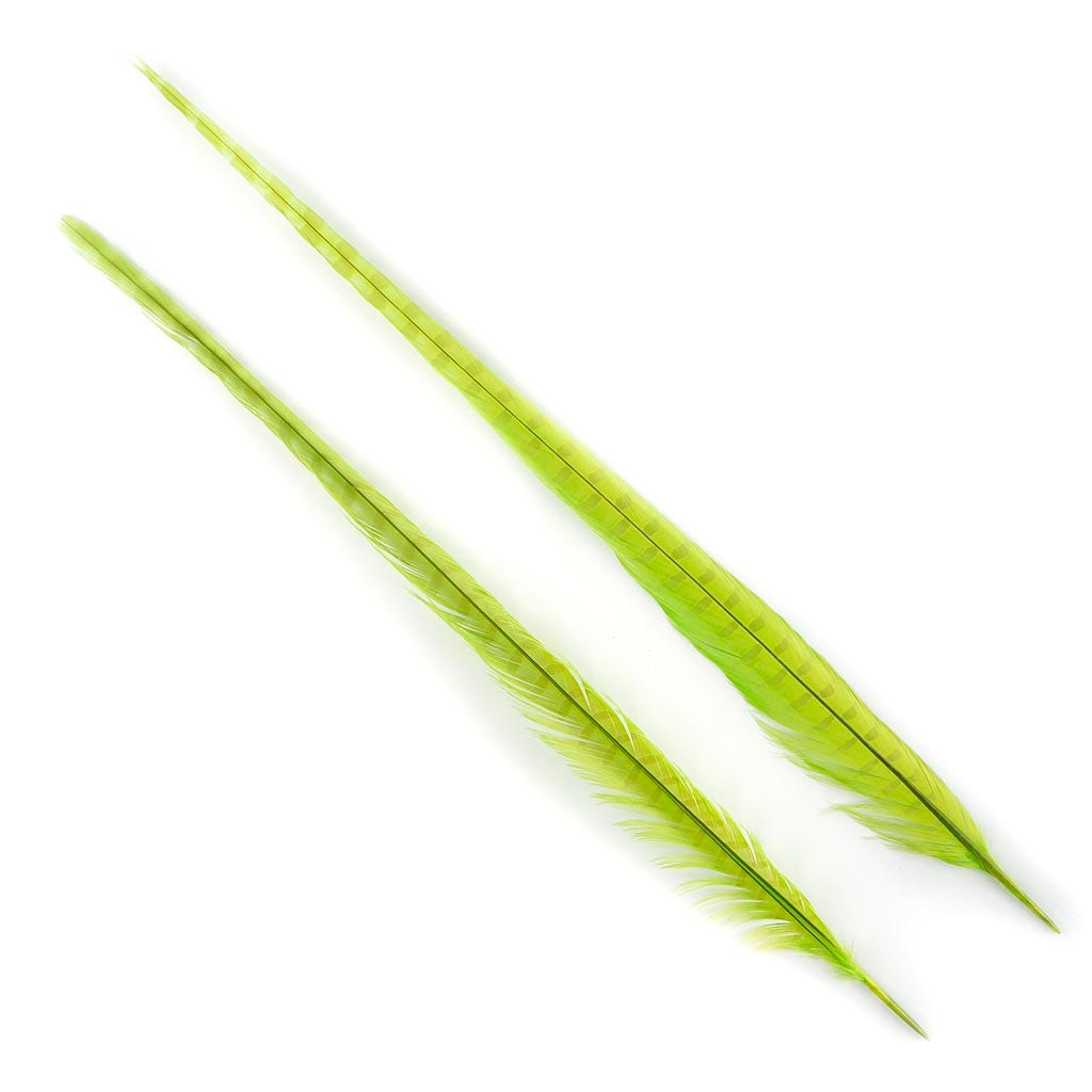 Ringneck Pheasant Tails Bleached & Dyed Lime
