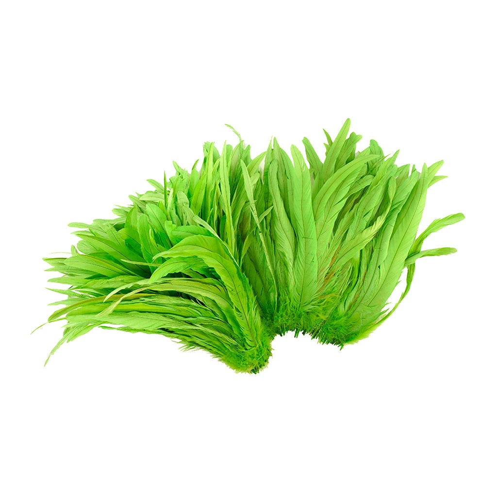 Rooster Coque Tails-Bleach-Dyed - Lime