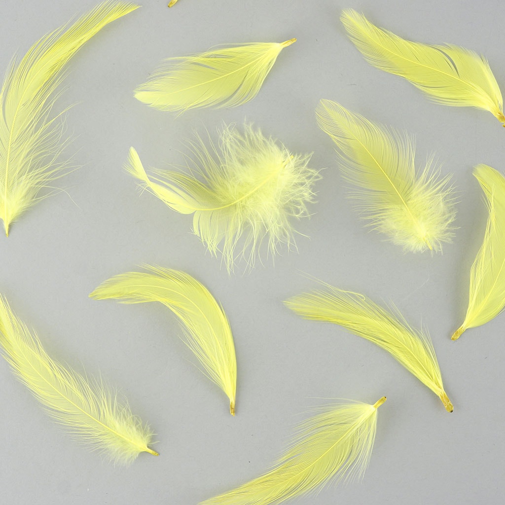 Loose Guinea Plumage Dyed - fl Yellow