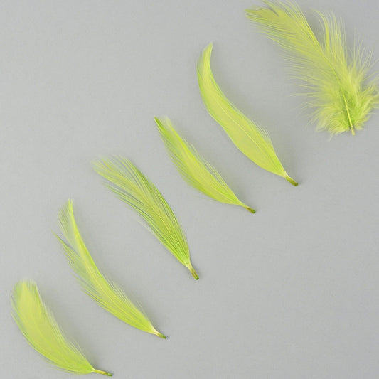 Rooster Hackle-Dyed - Lime