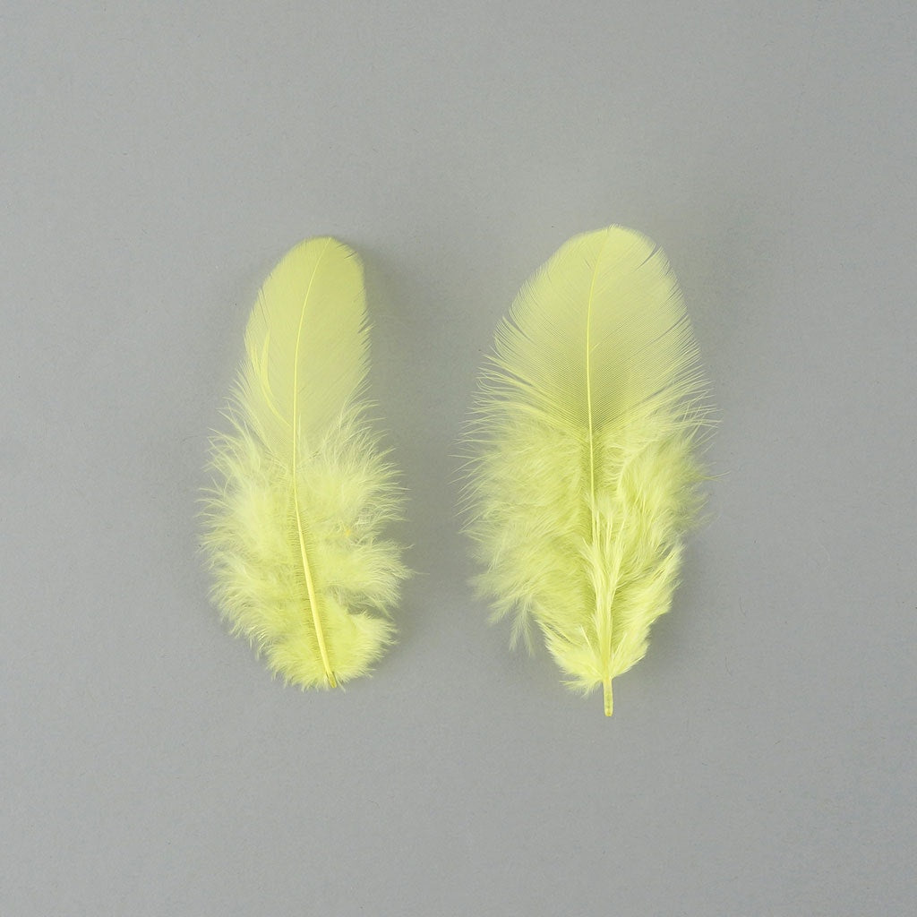 Rooster Plumage-White-Dyed - Fl Chartreuse