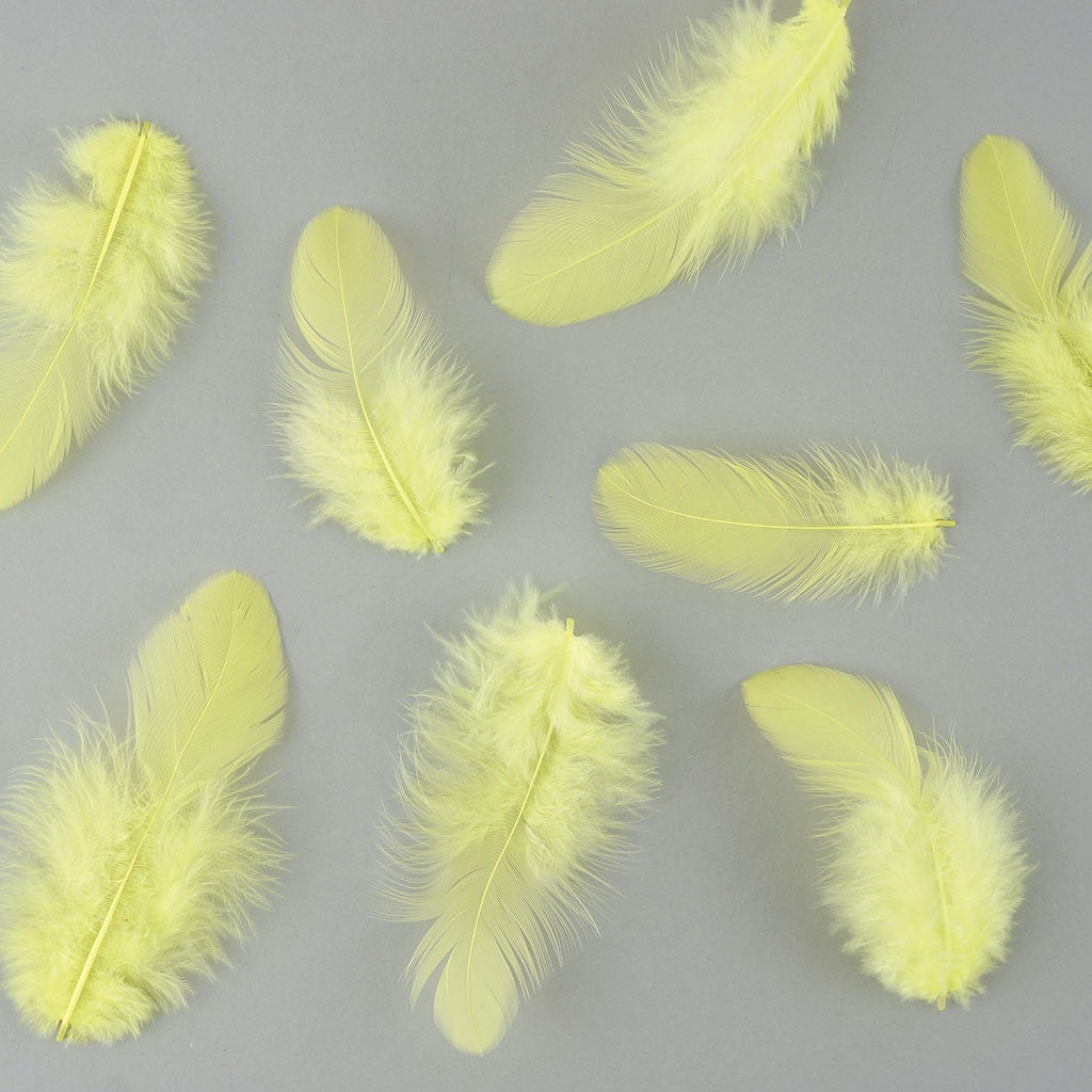 Rooster Plumage-White-Dyed - Fl Chartreuse