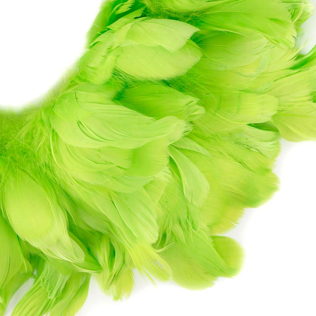 Goose Nagorie Feathers Dyed - Lime