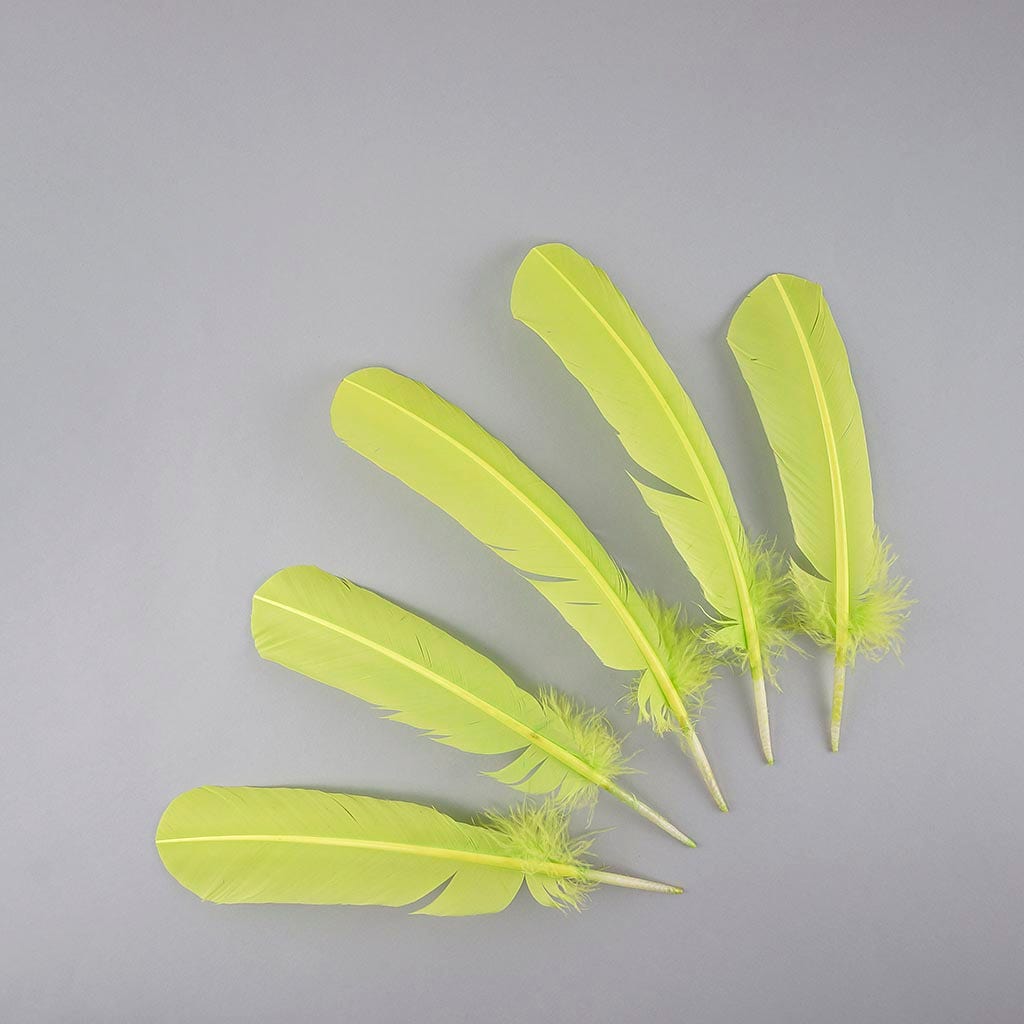 Turkey Quills Selected - Lime