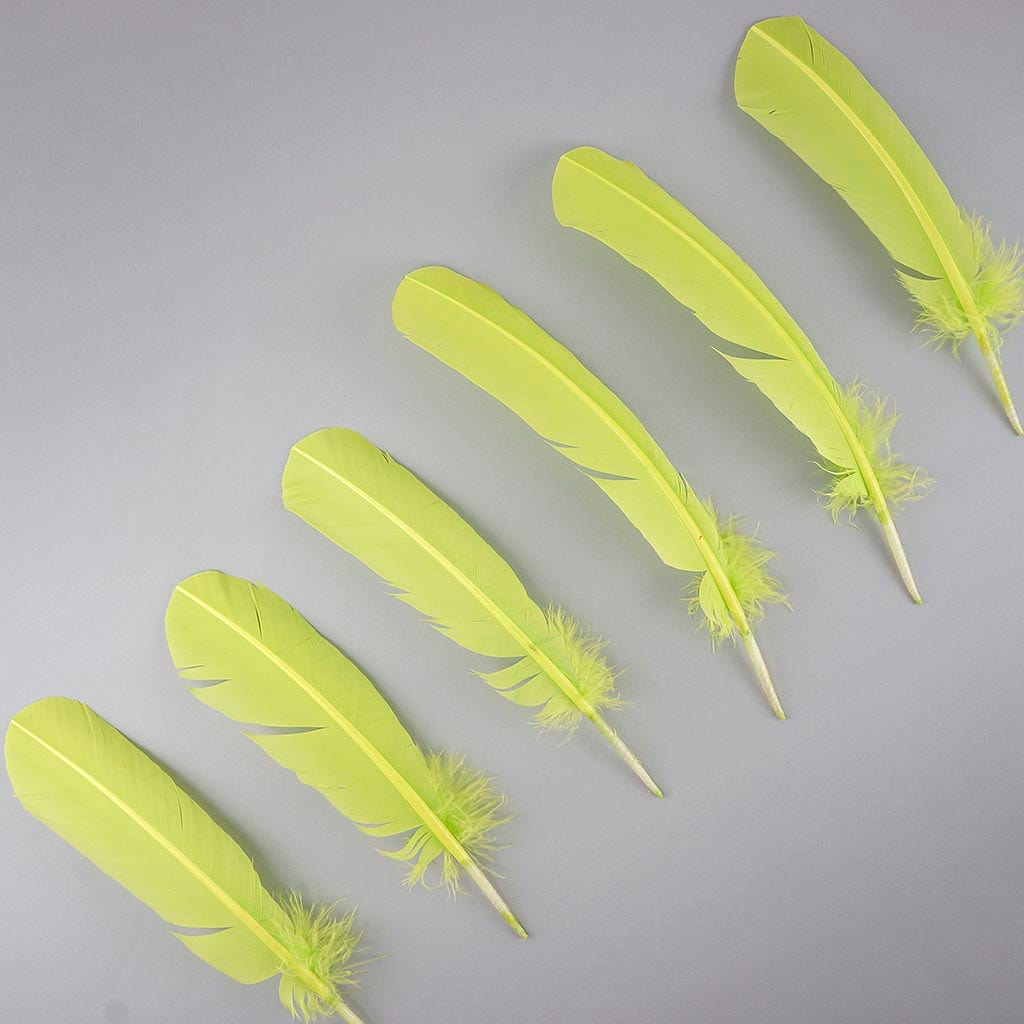 Turkey Quills Selected - Lime