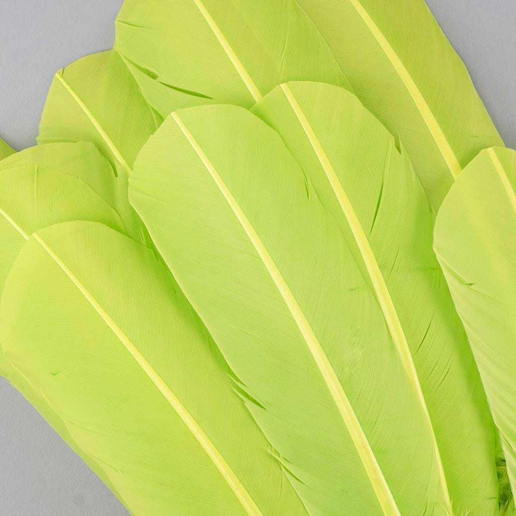 Turkey Quills Selected - Lime