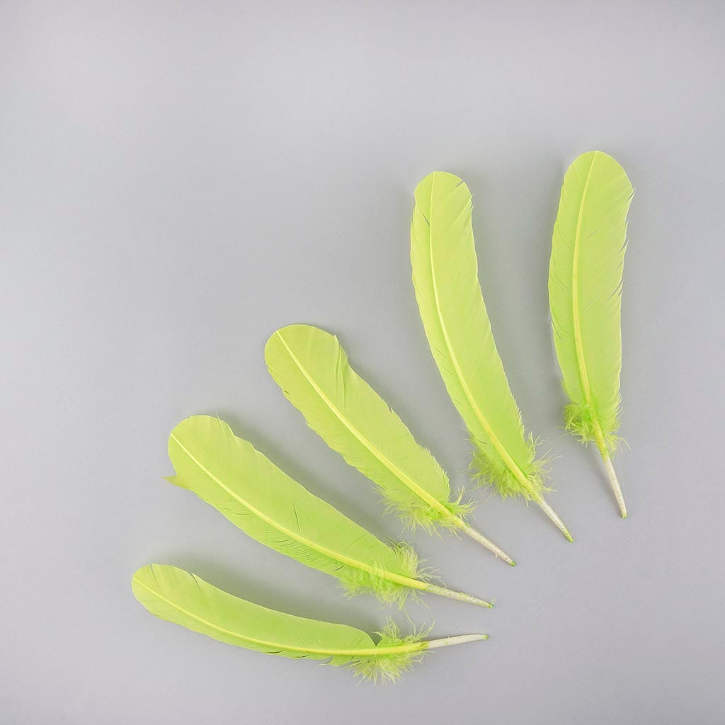 Turkey Quills Selected - Lime