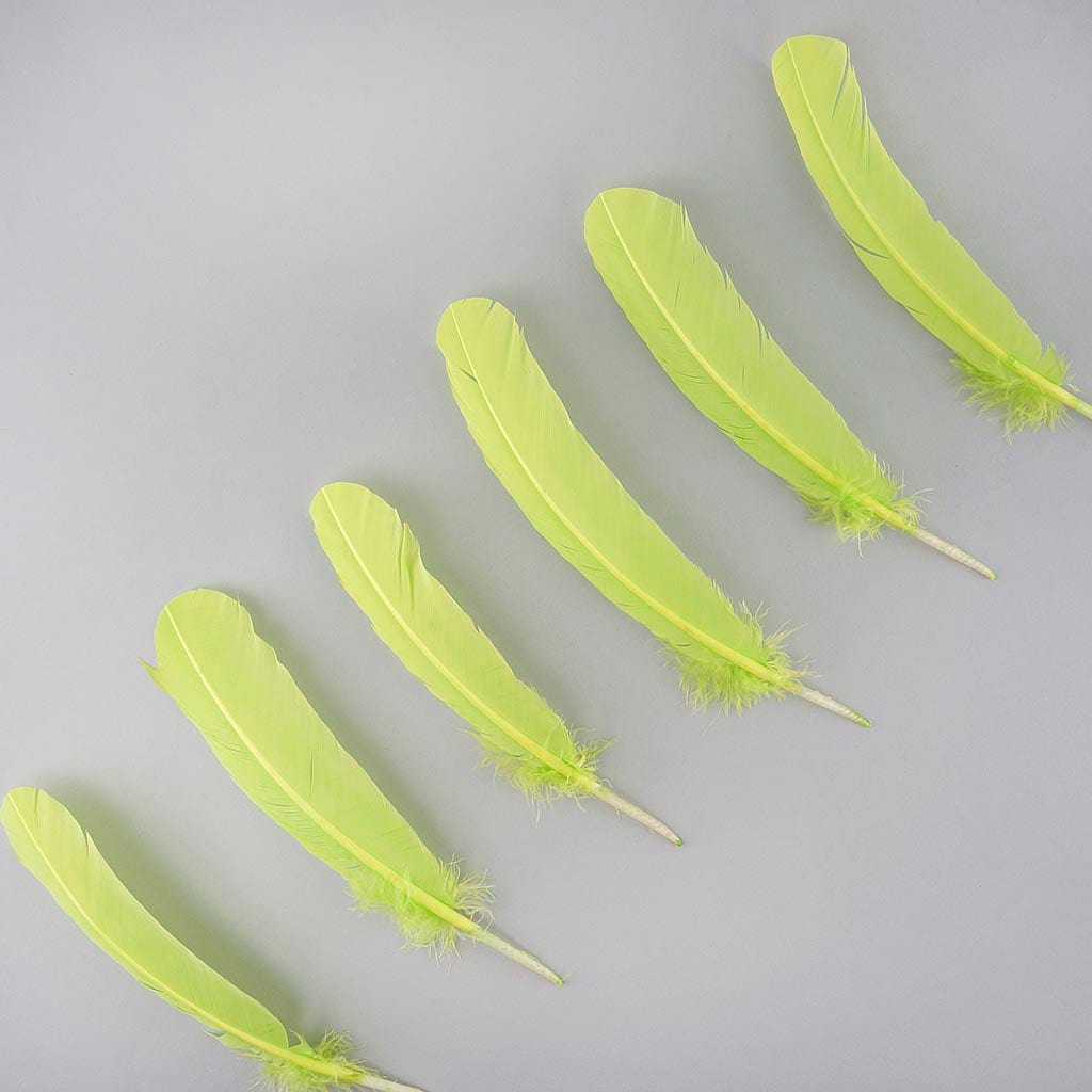 Turkey Quills Selected - Lime