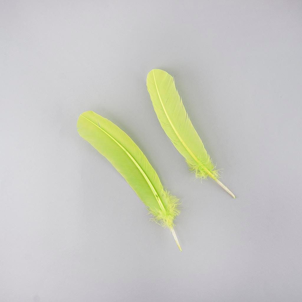 Turkey Quills Selected - Lime