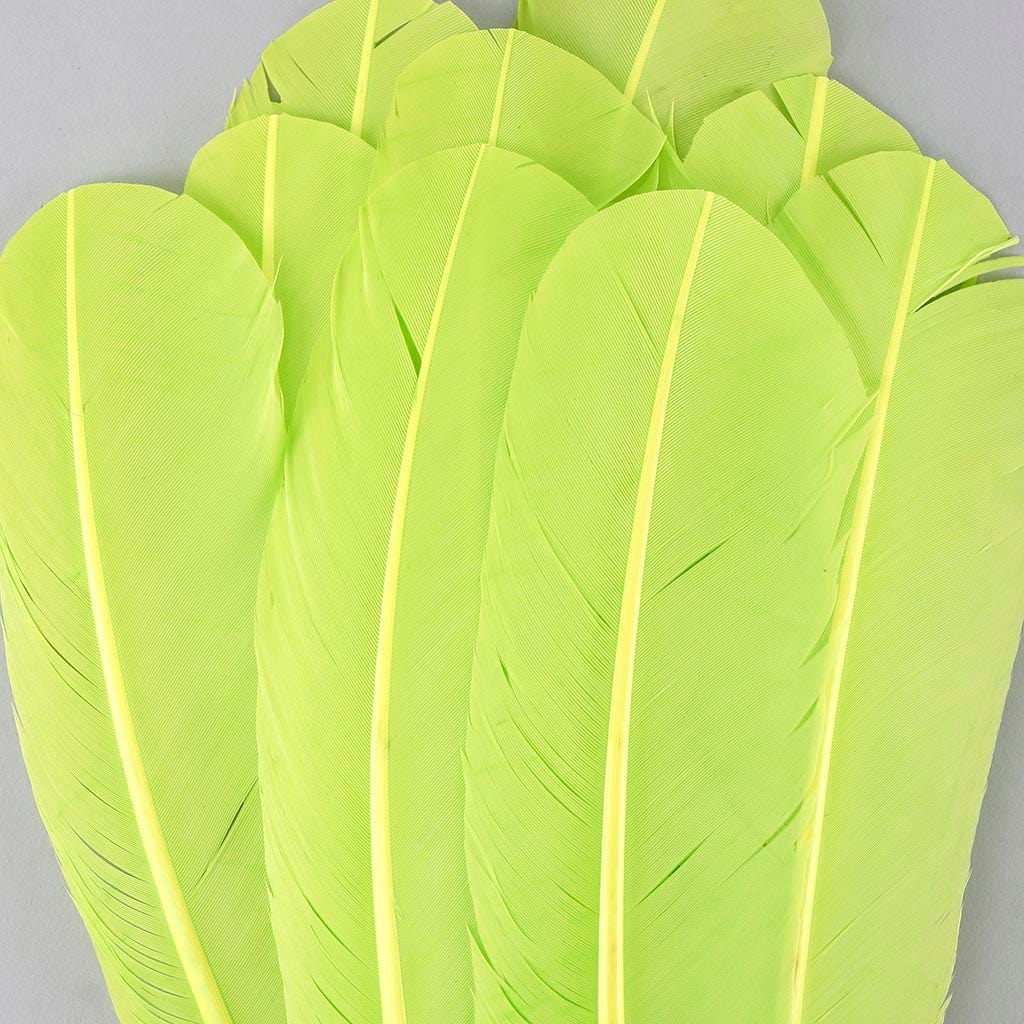 Turkey Quills Selected - Lime