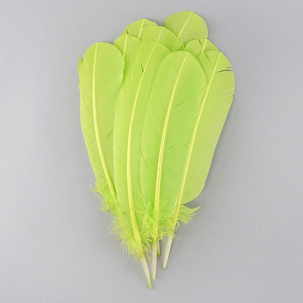 Turkey Quills Selected - Lime