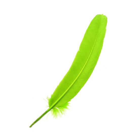 Parried Turkey Quills Selected - Lime