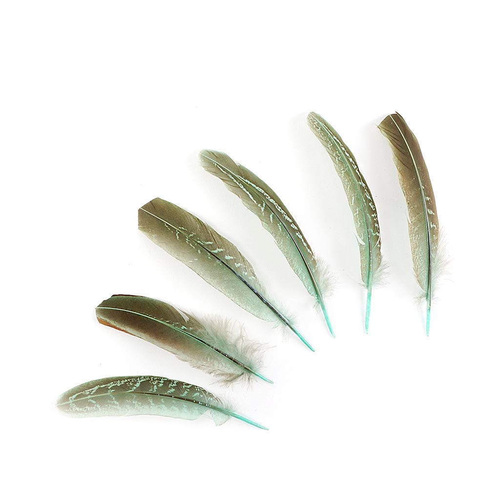 Pheasant Tail Feathers Dyed - Mint