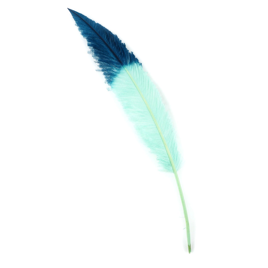 Ostrich Nandu Tipped Feathers Selected - Mint - Peacock Blue