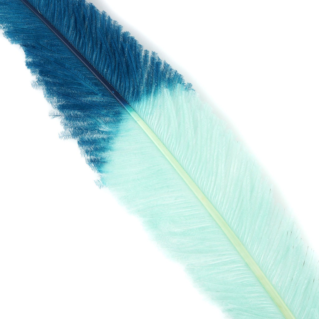 Ostrich Nandu Tipped Feathers Selected - Mint - Peacock Blue