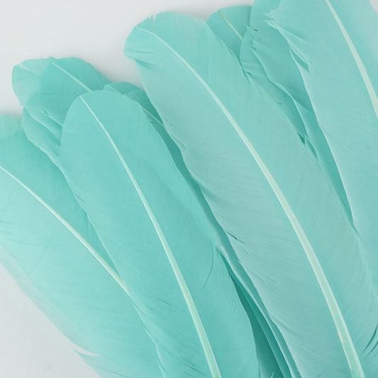Turkey Quills Dyed Feathers Mint