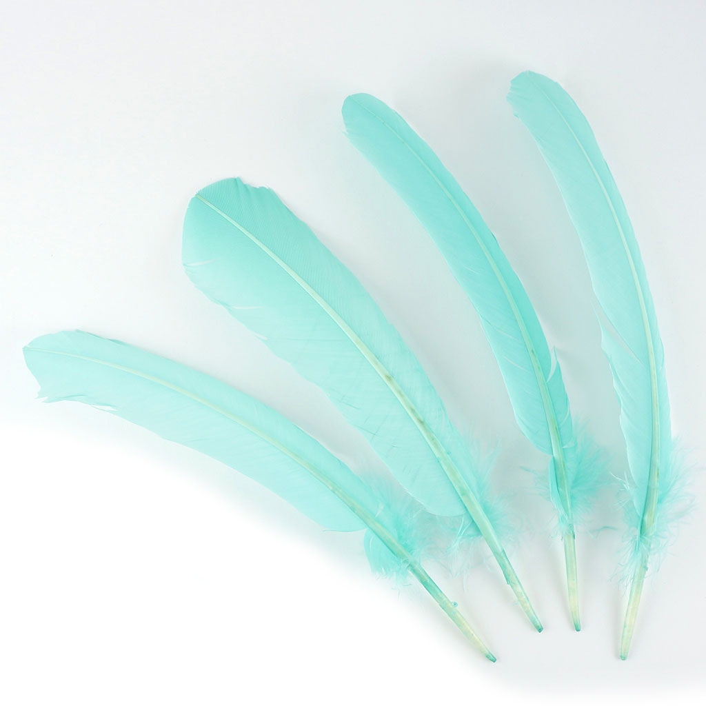 Turkey Quills Dyed Feathers Mint