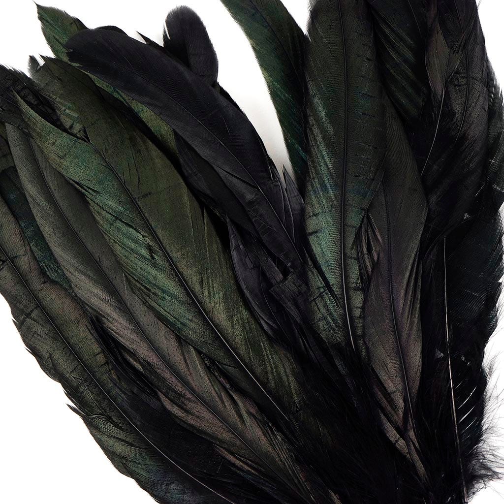 Rooster Coque Tails-Dyed - Black/Iridescent 7-10"