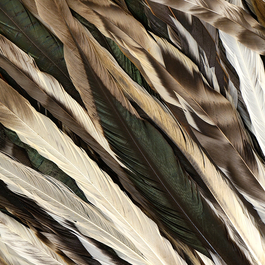 10 Lbs. - White Turkey Rounds Wing Quill Wholesale Feathers (Bulk)