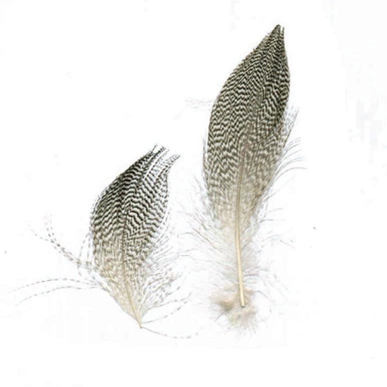 Duck Plumage Mallard Feathers - Natural
