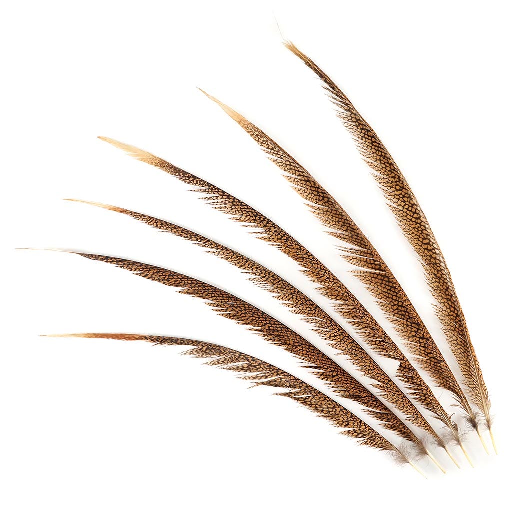 Natural Golden Pheasant Tail Center Feathers, 20 inches & up, 100 pieces, 1st Quality Feathers