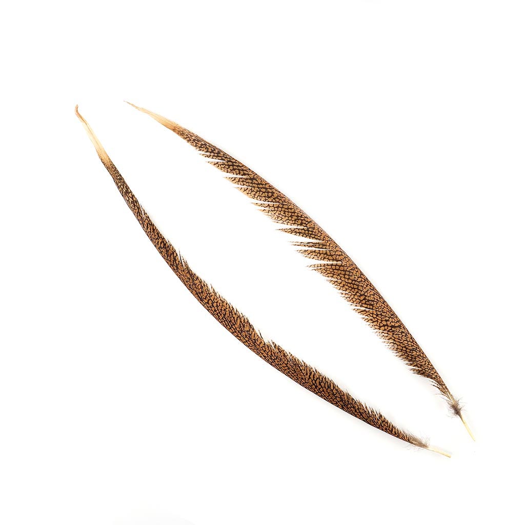 Natural Golden Pheasant Tail Center Feathers, 20 inches & up, 100 pieces, 1st Quality Feathers