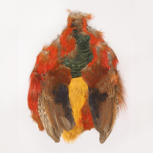 Golden Pheasant Pelt #1 - Natural