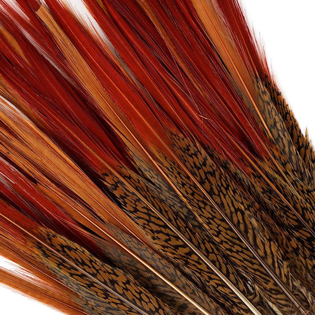 Golden Pheasant Red Top Tail Feathers - Natural - 8 - 10"