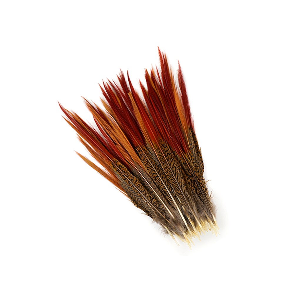 Golden Pheasant Red Top Tail Feathers - Natural - 8 - 10"