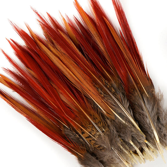 10 PC/PKG Golden Pheasant Red Top Tails 4-6" - Natural