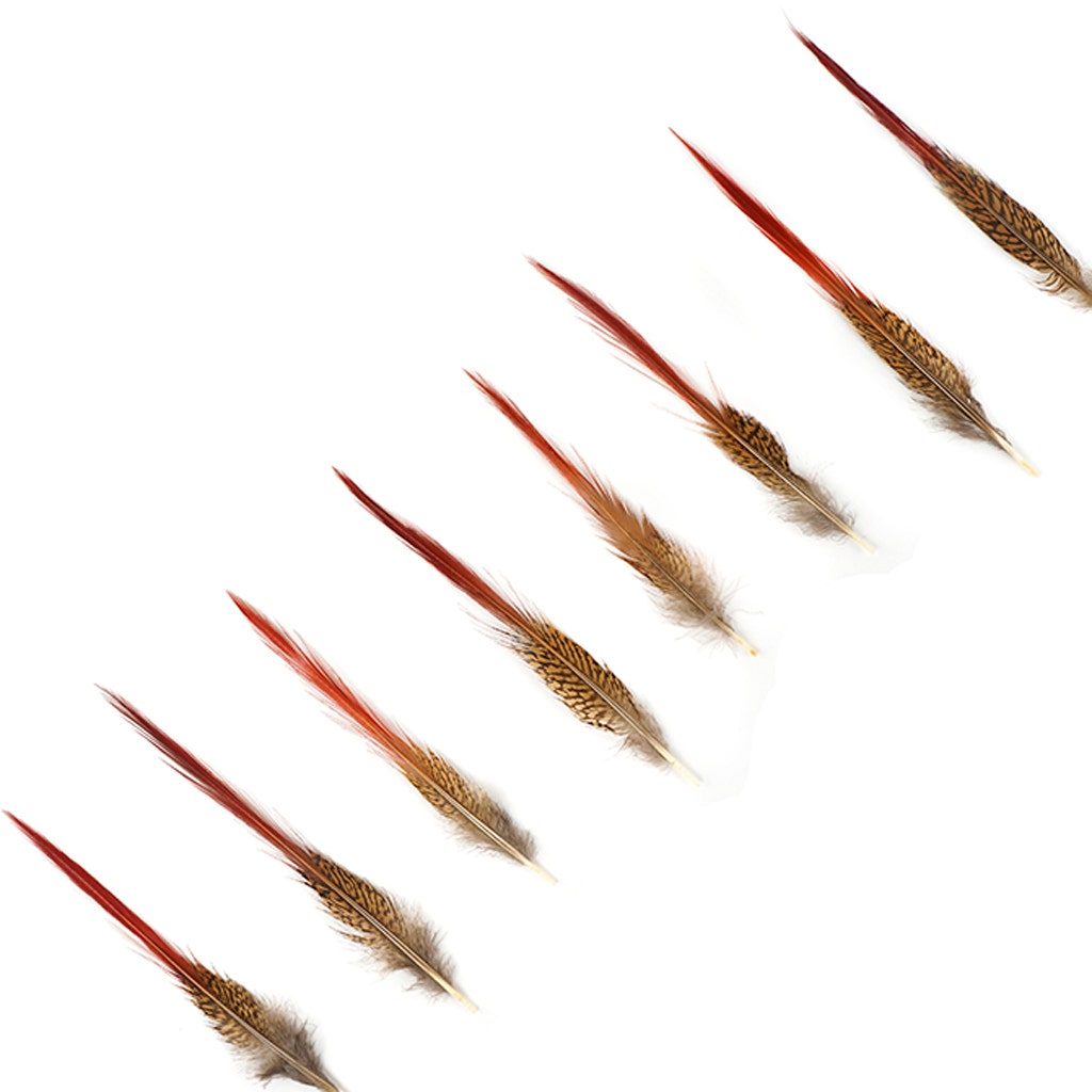 10 PC/PKG Golden Pheasant Red Top Tail Feathers 8-10" - Natural