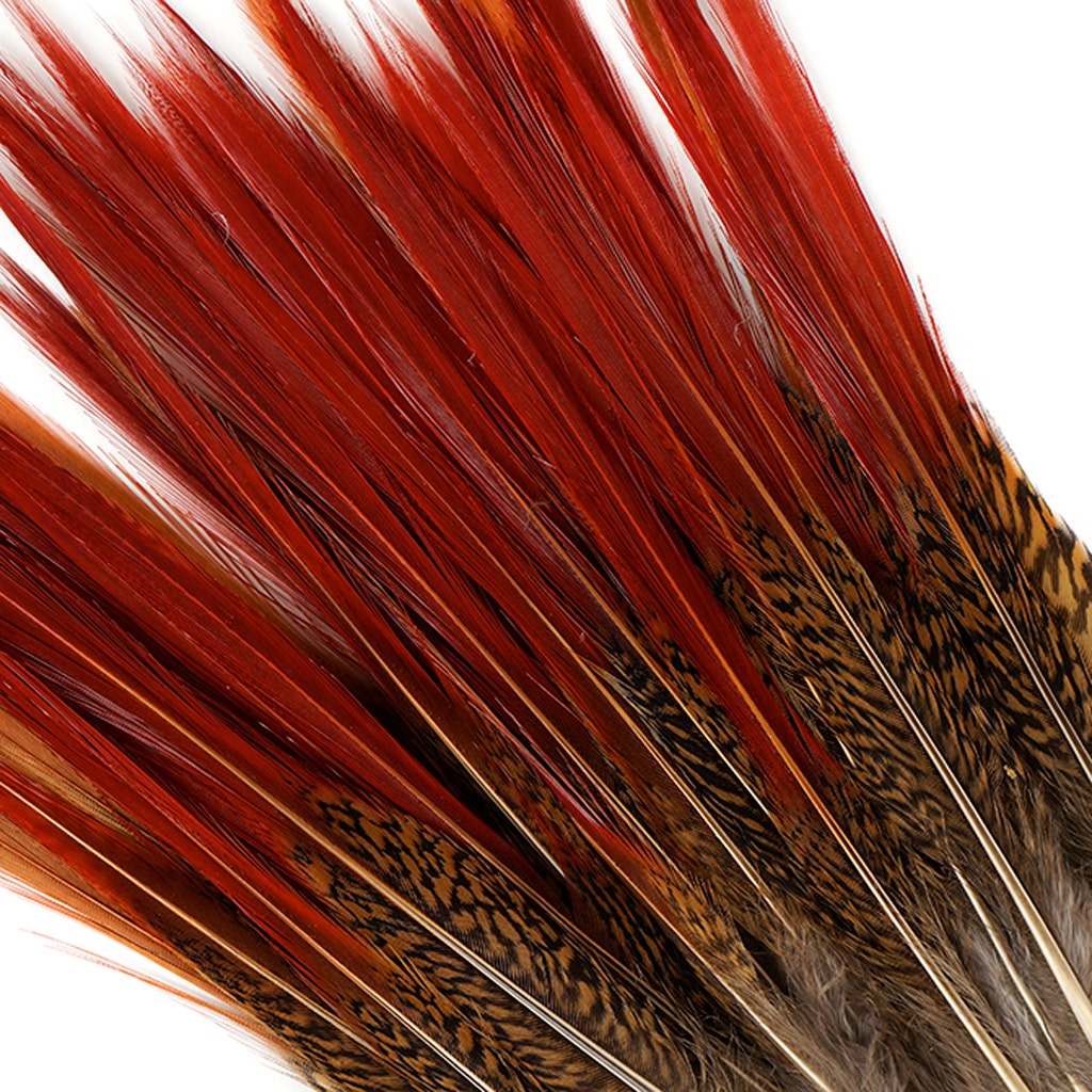 10 PC/PKG Golden Pheasant Red Top Tail Feathers 8-10" - Natural